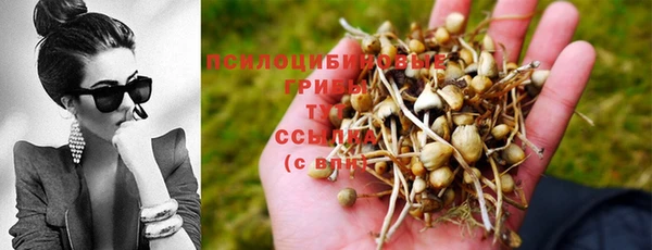 экстази Абаза