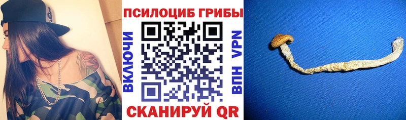 где купить наркоту Нижняя Тура гидра ссылка Псилоцибиновые грибы Psilocybe